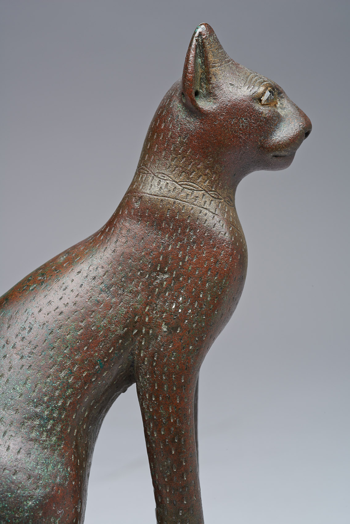 Sitzende Katze