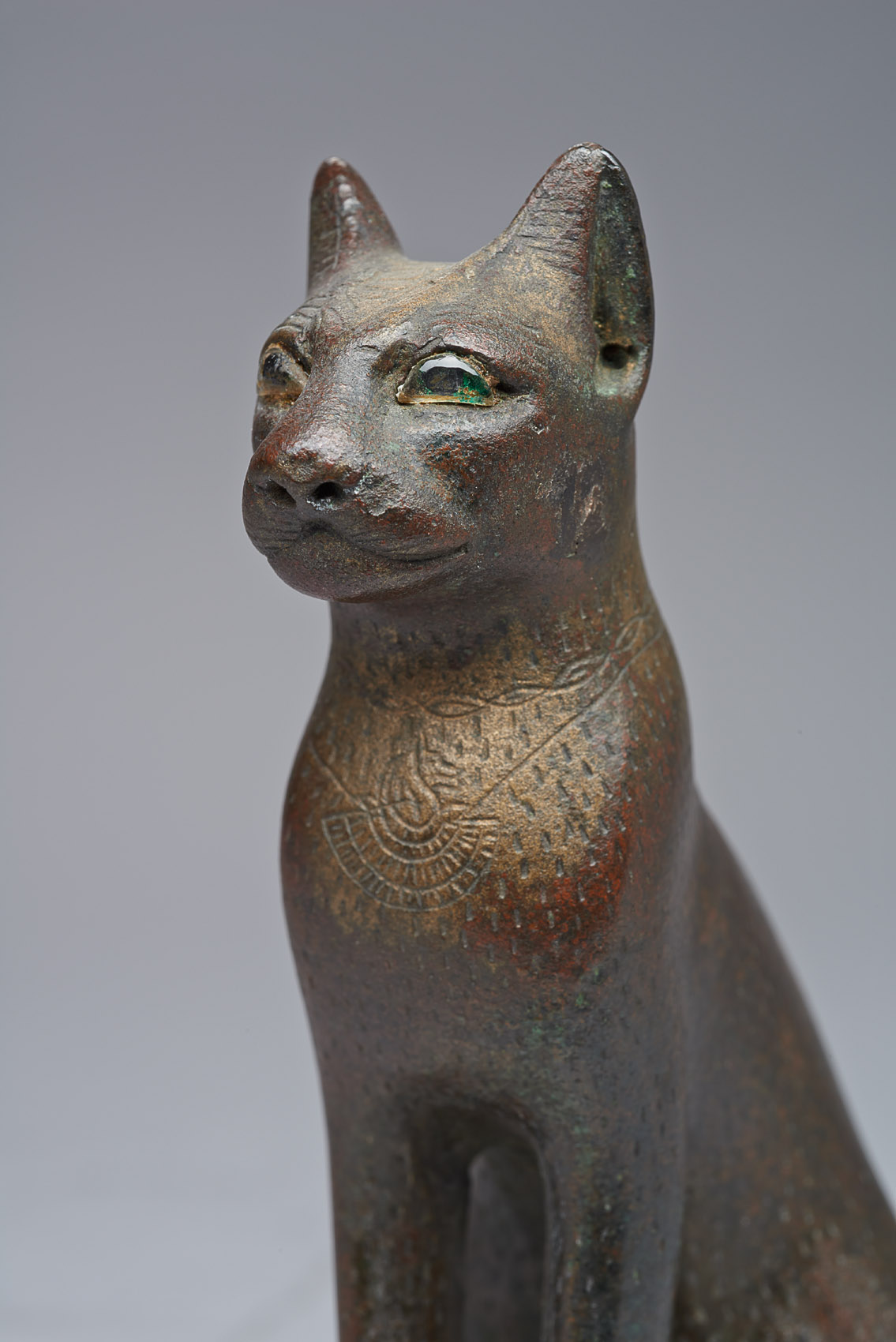 Sitzende Katze