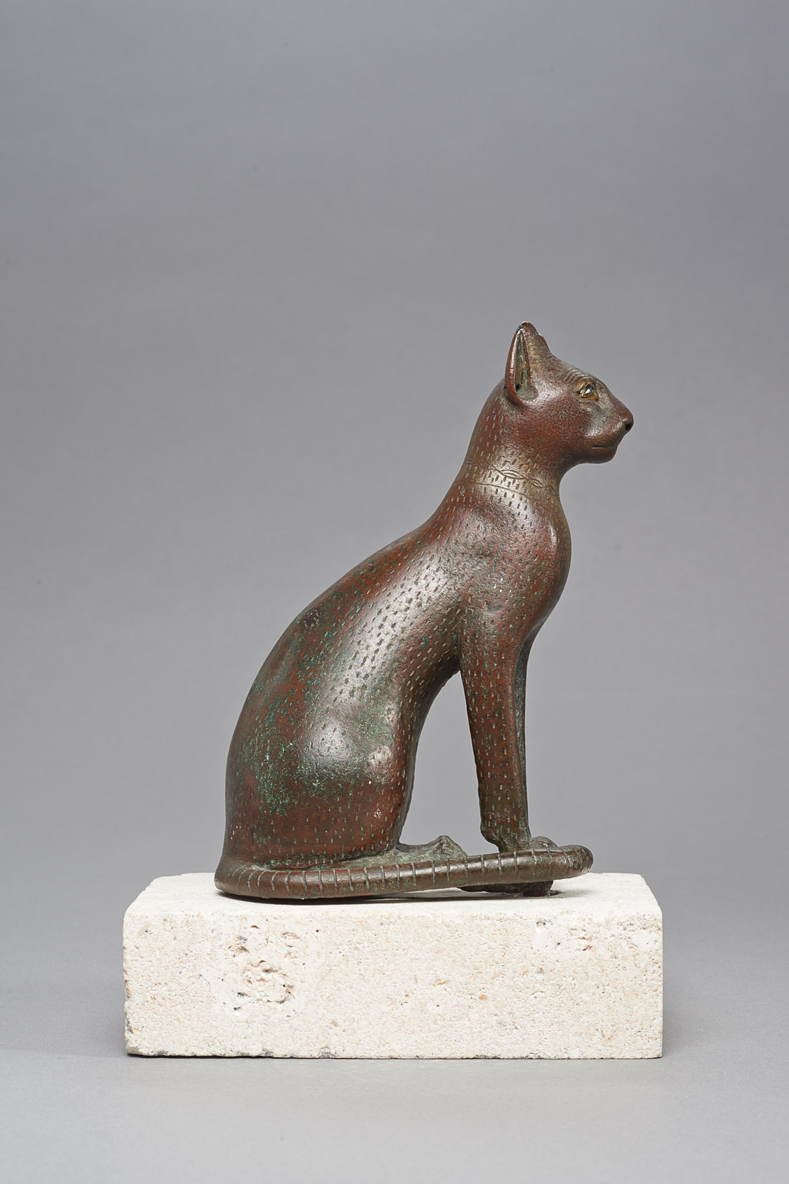 Sitzende Katze