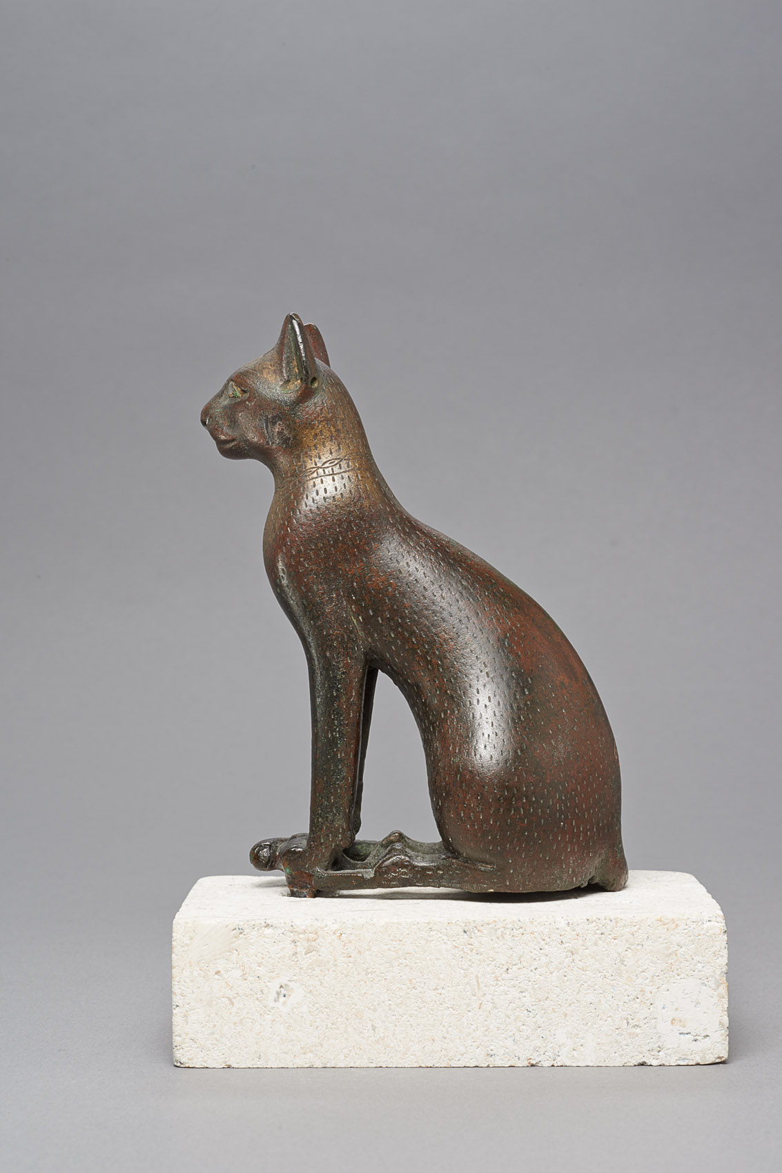 Sitzende Katze