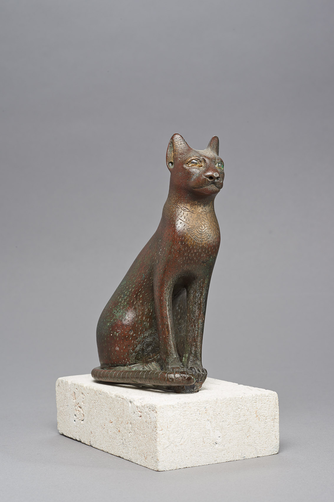 Sitzende Katze