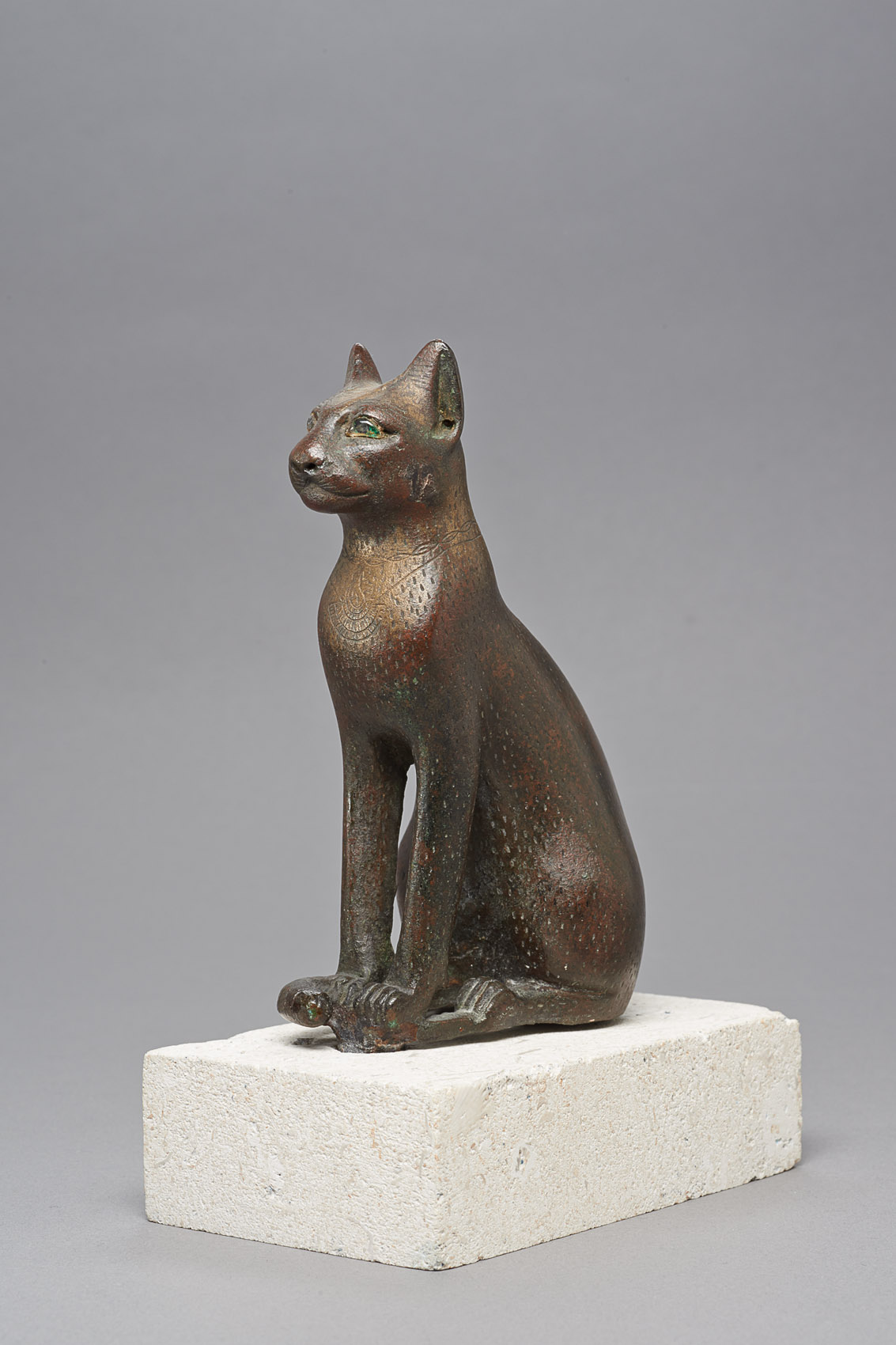 Sitzende Katze