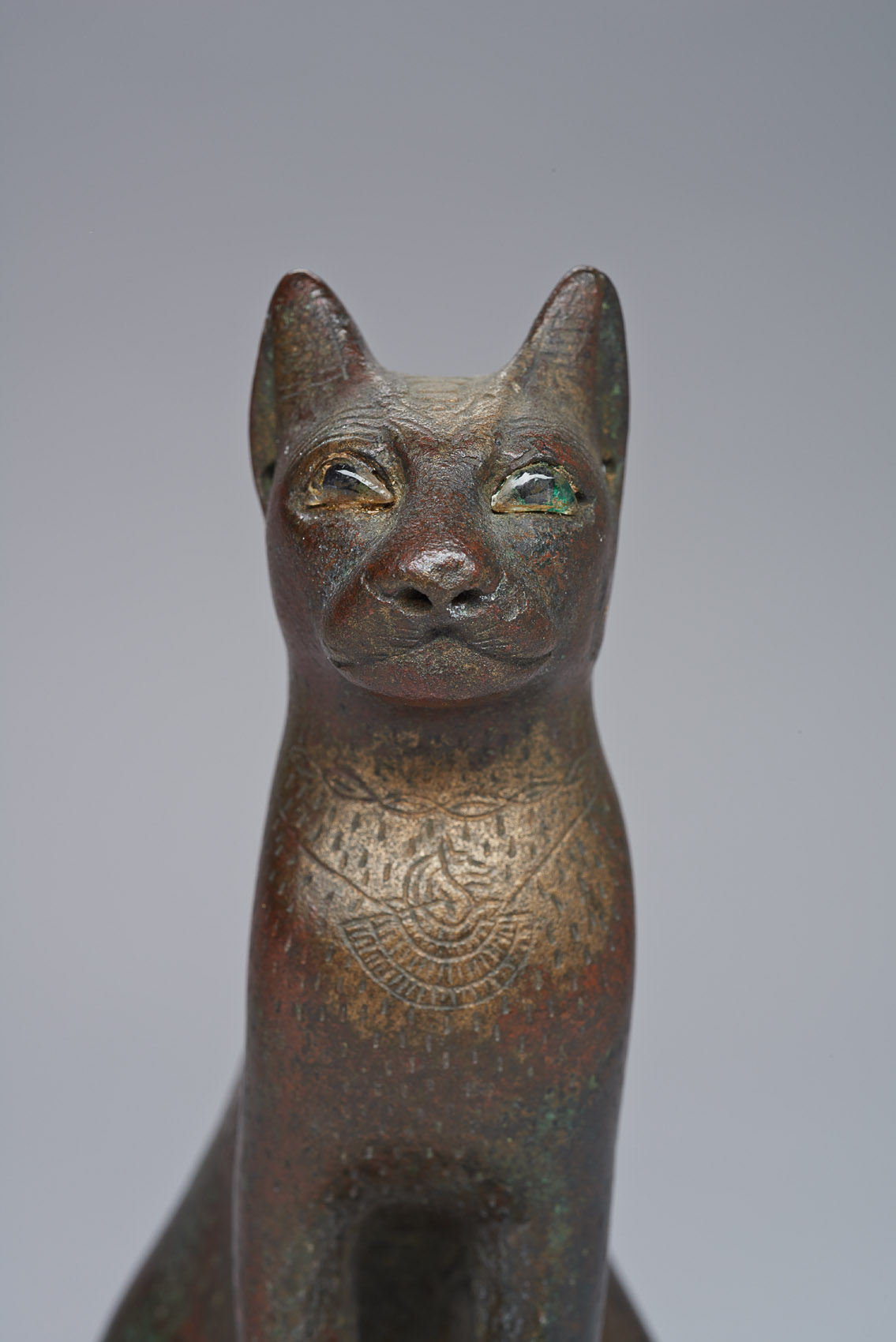 Sitzende Katze