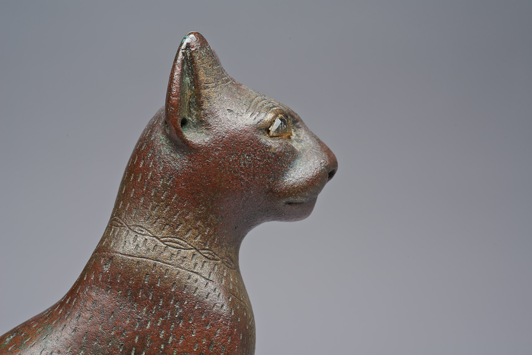 Sitzende Katze