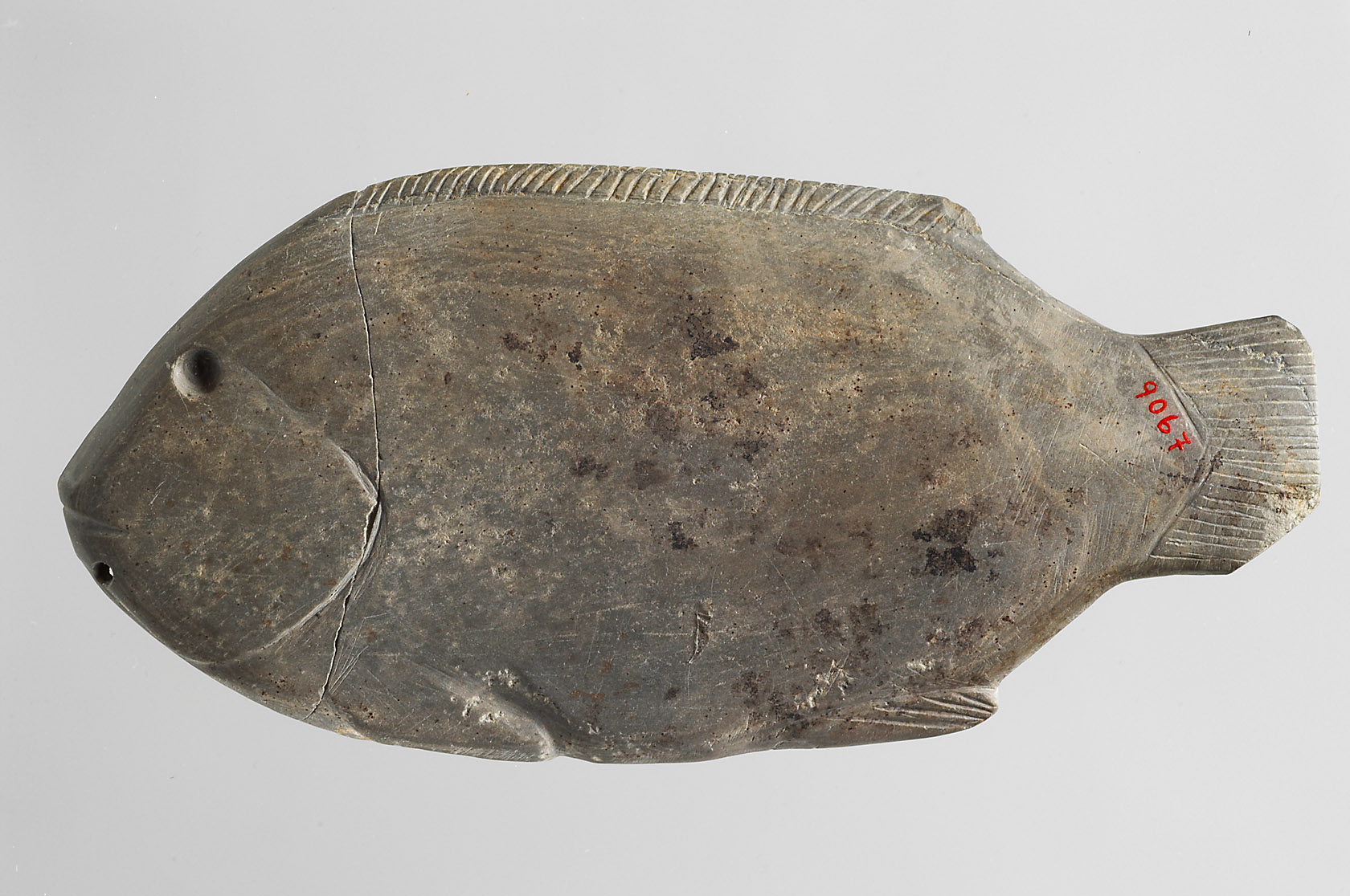 Fischförmige Schminkpalette