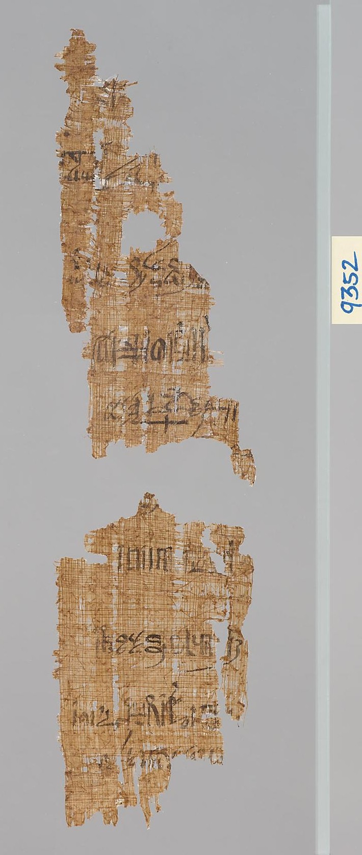 Zwei Fragmente eines hieratischen Papyrus
