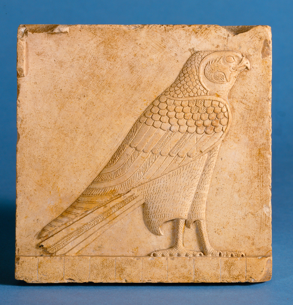 Relief eines Falken