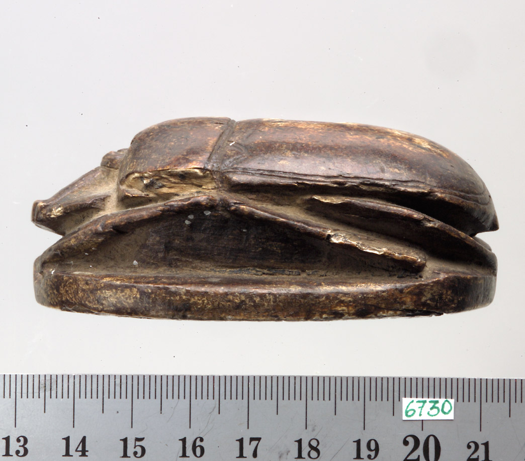 Löwenjagdskarabäus Amenophis' III.