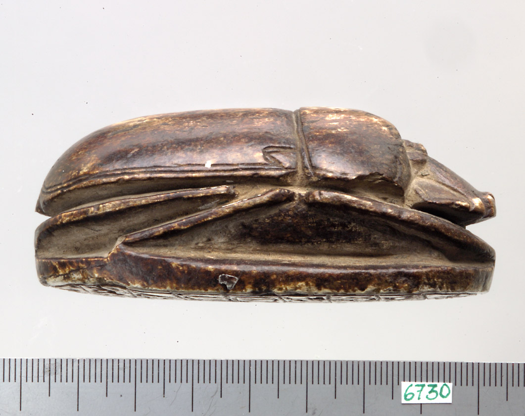 Löwenjagdskarabäus Amenophis' III.