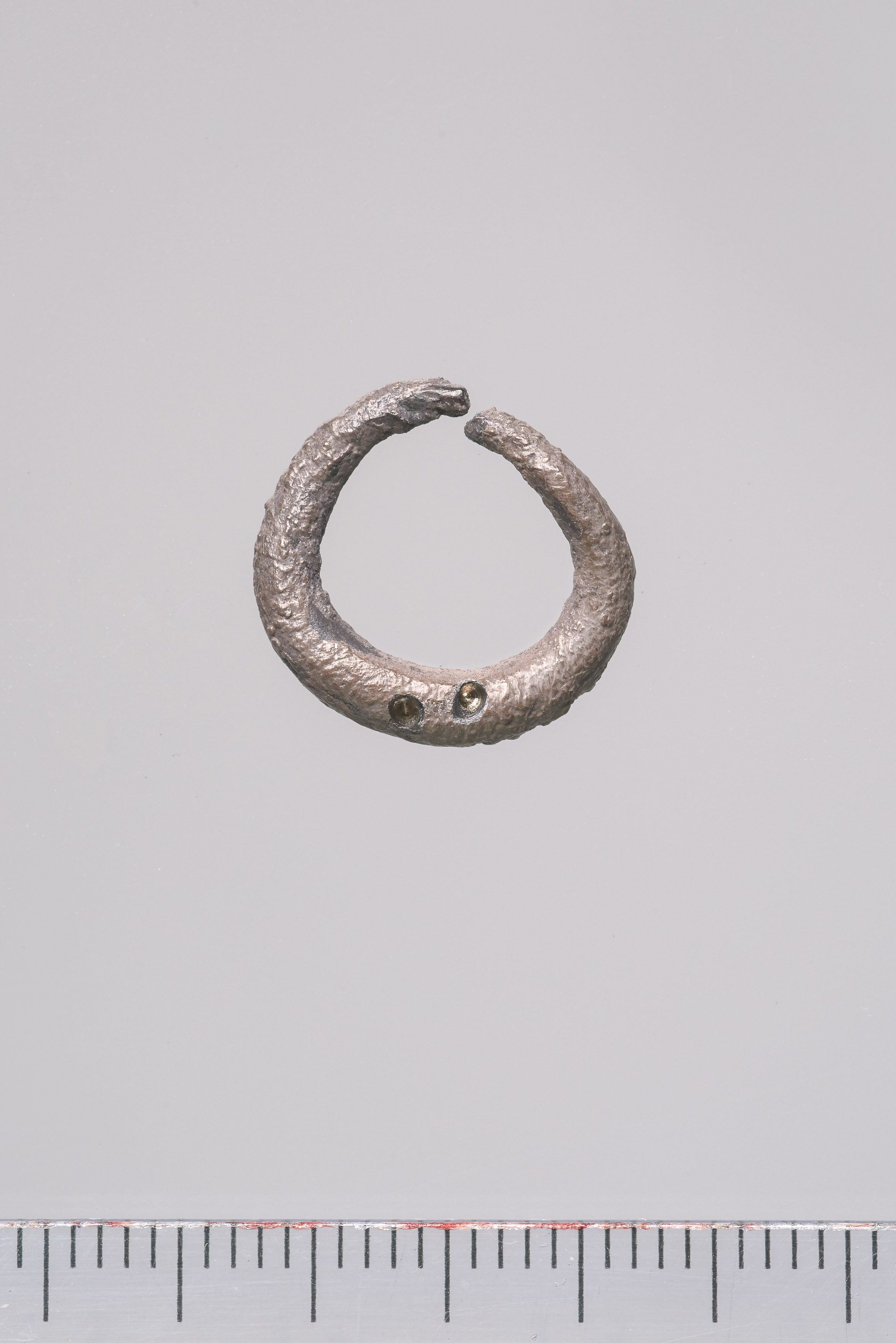 Ohrring