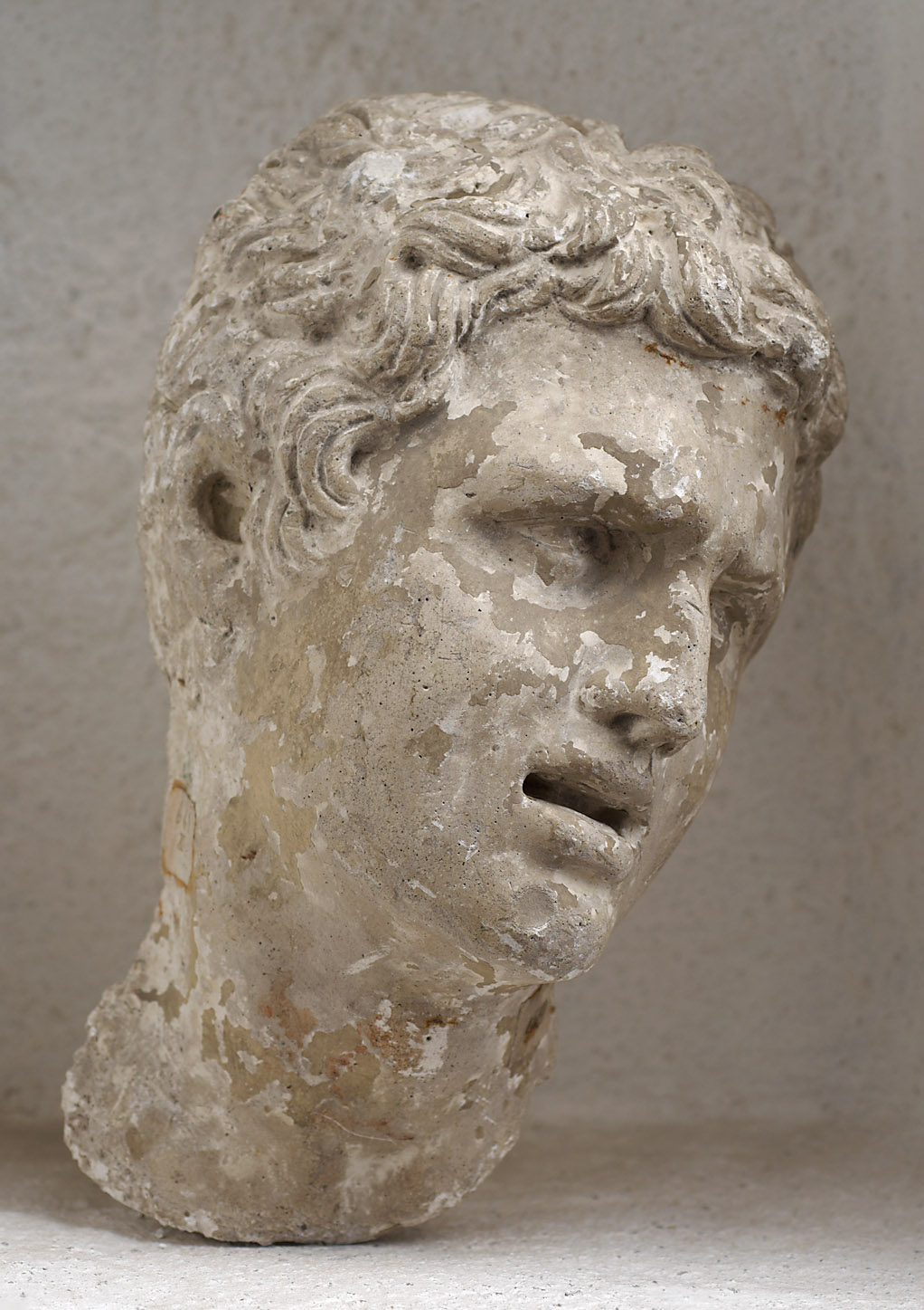Sohn des Laokoon (Laocoon), Büste, Kopf, Porträtbüste, Porträtkopf