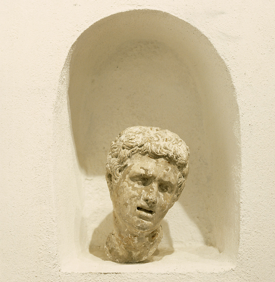 Sohn des Laokoon (Laocoon), Büste, Kopf, Porträtbüste, Porträtkopf