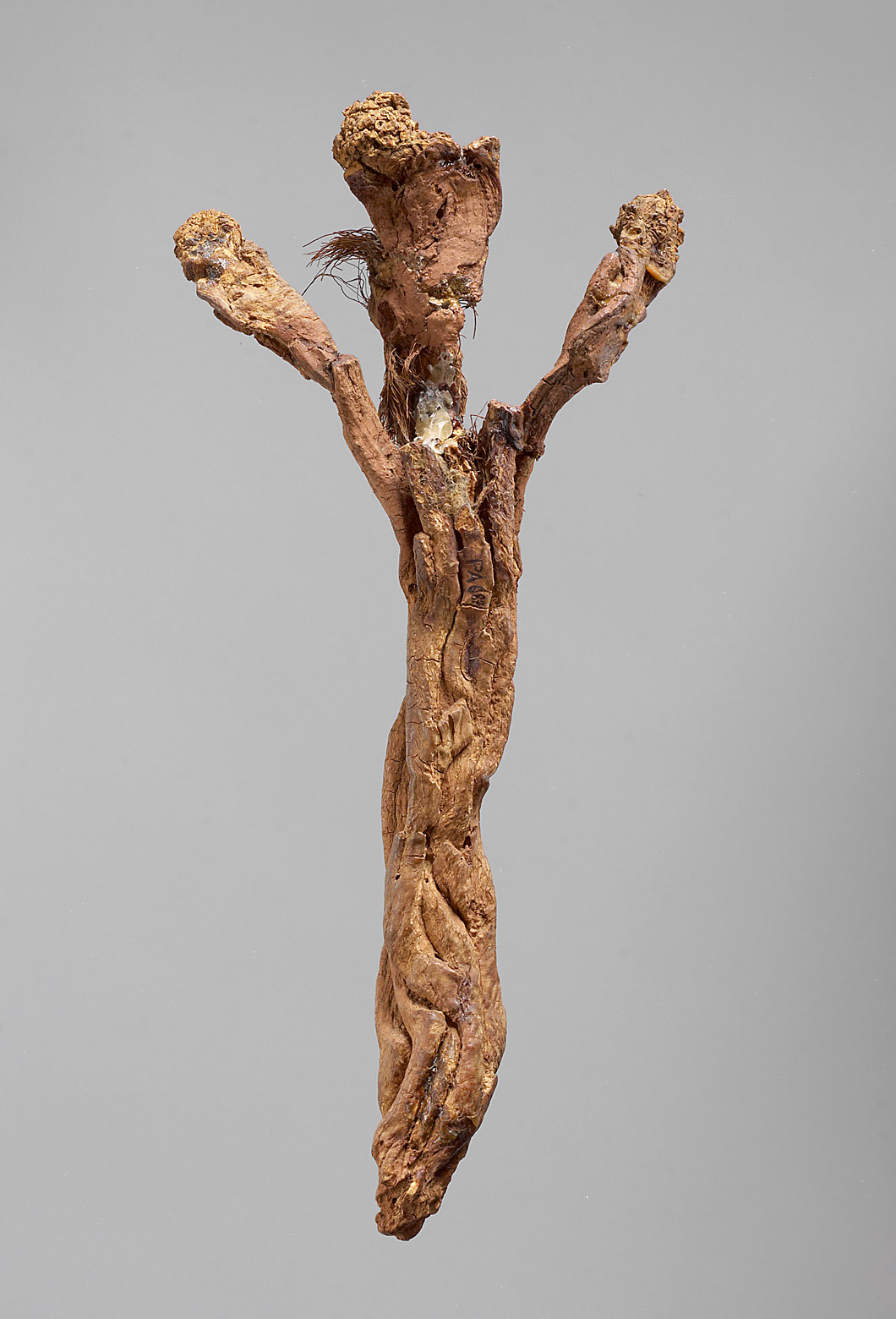 Alraune, Kruzifix