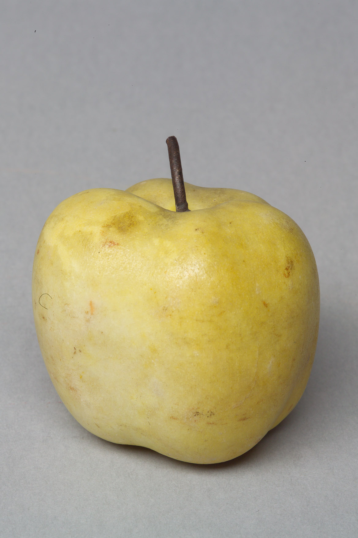 Marmorapfel, Quitte, früher als Apfel geführt