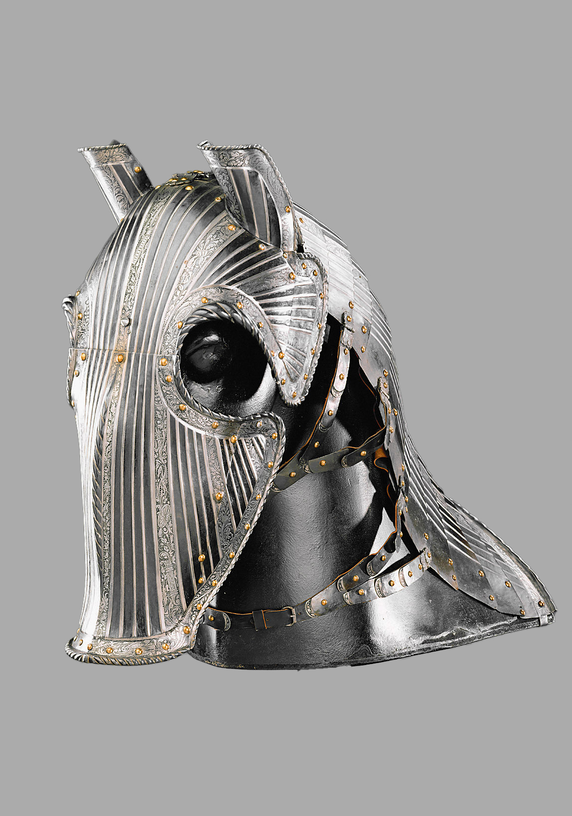 Ganze Rossstirn mit Mähnenpanzer