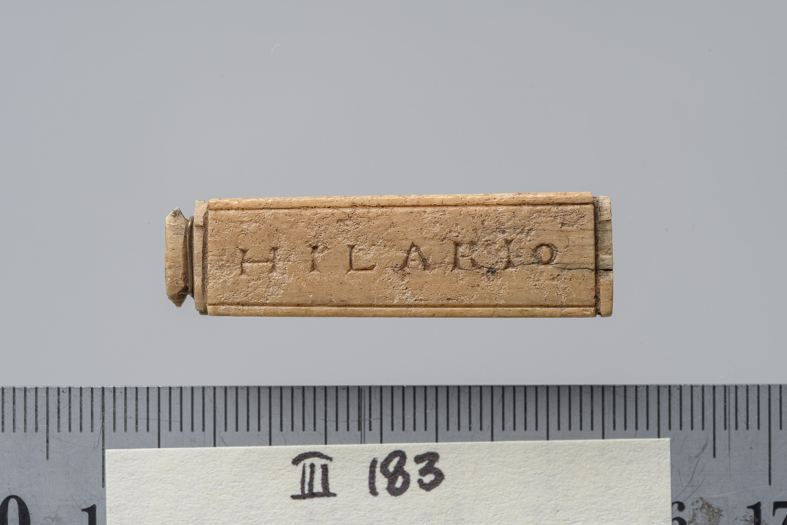 Tessera nummularia