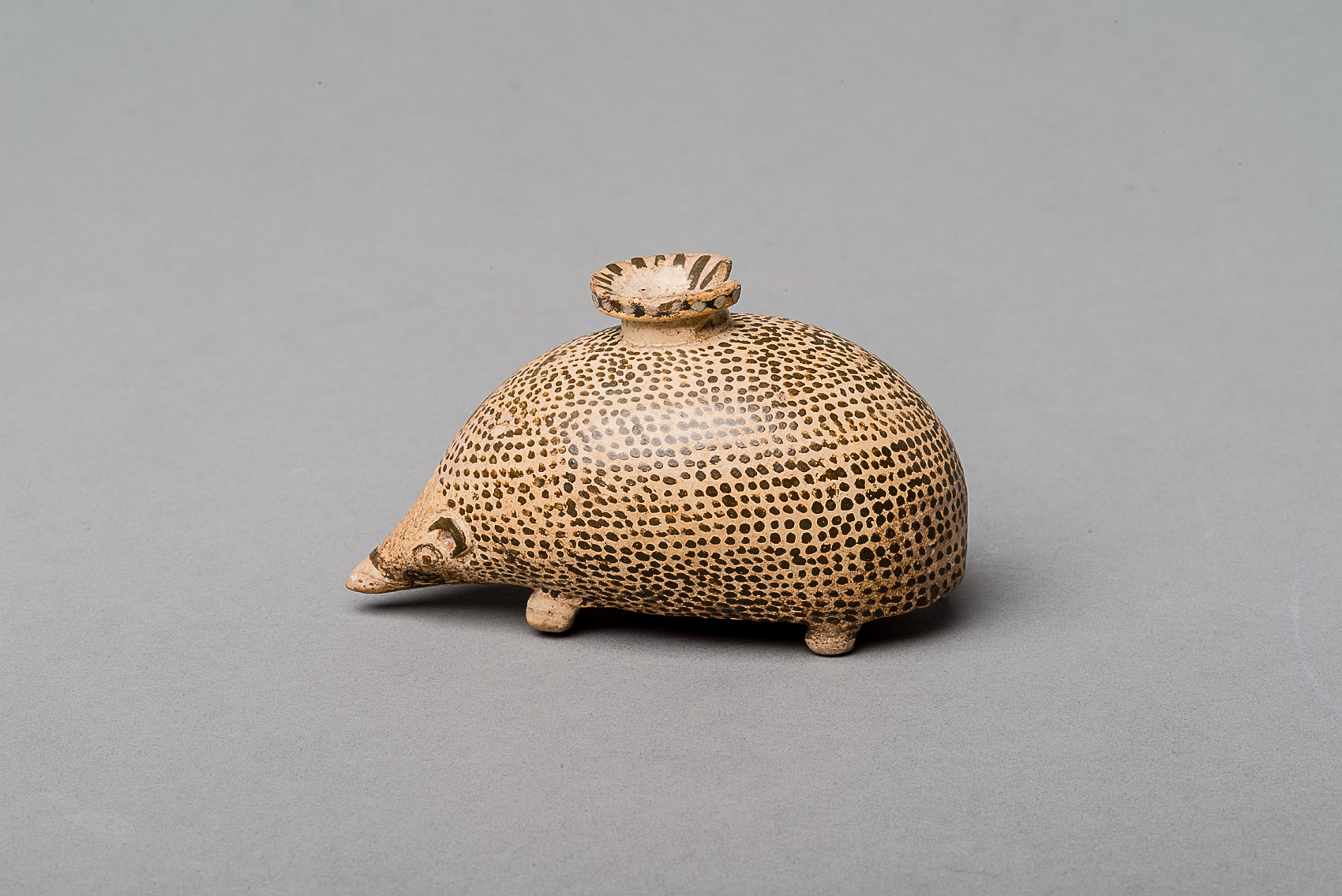 Igel