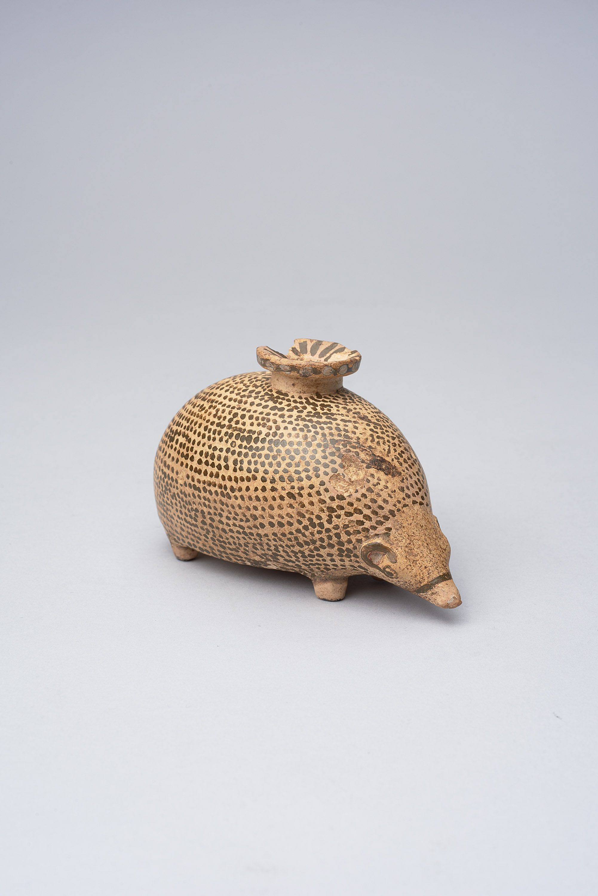 Igel