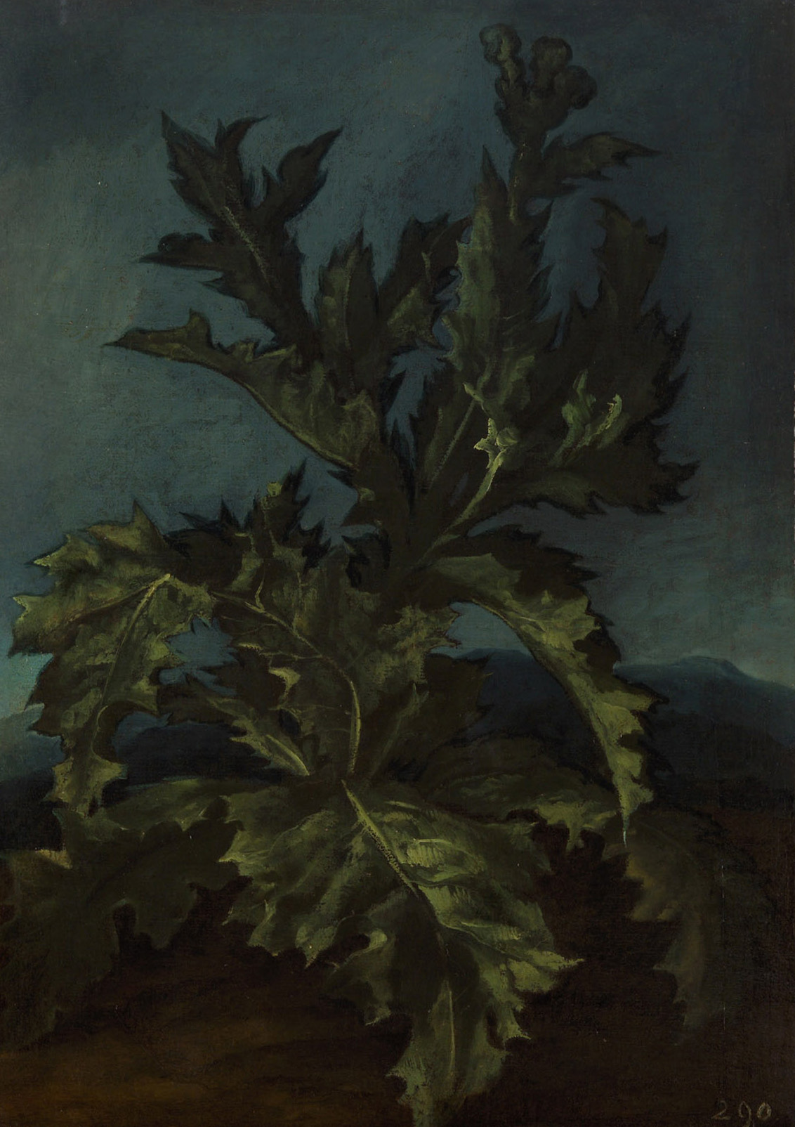 Distel - Kunstwerke - Kunsthistorisches Museum - KHM.at