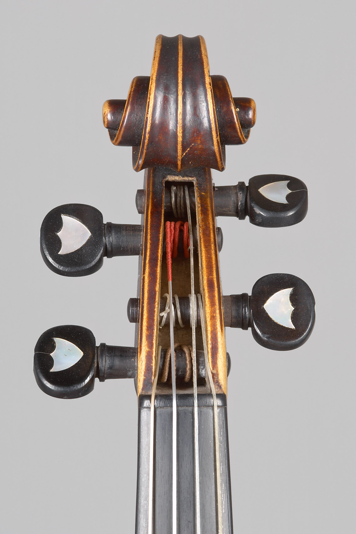 Violine