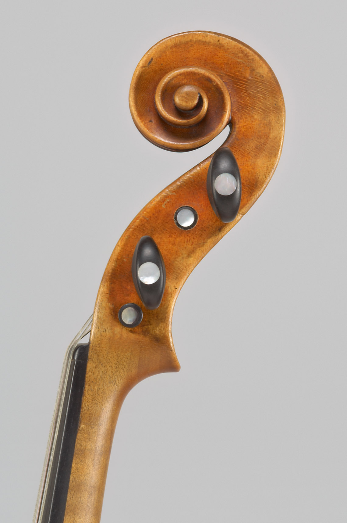 Violine