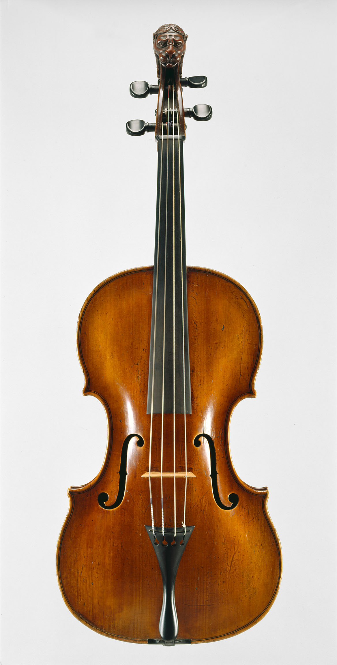 Viola