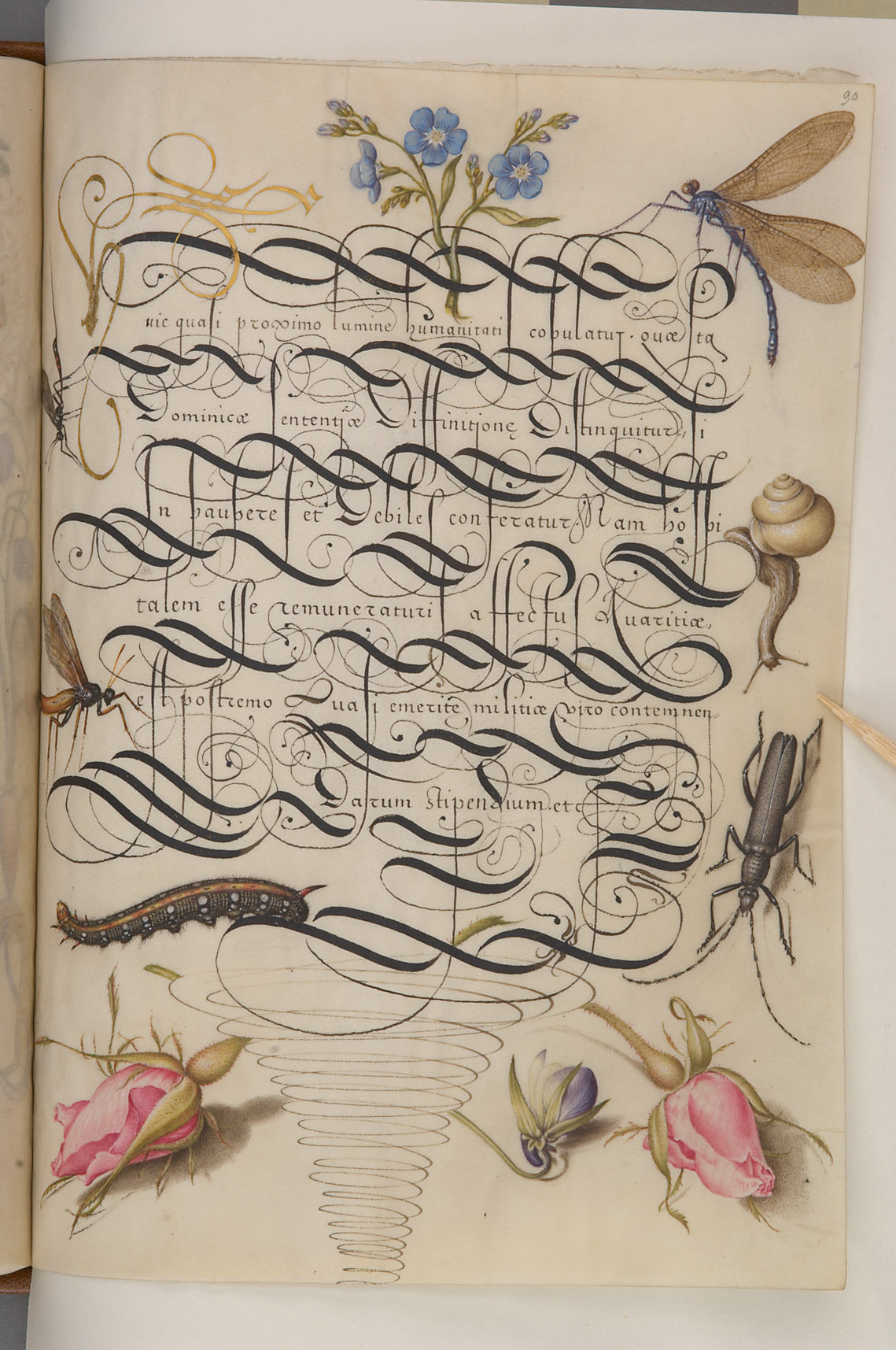 Schriftmusterbuch; 127 Blatt Pergament