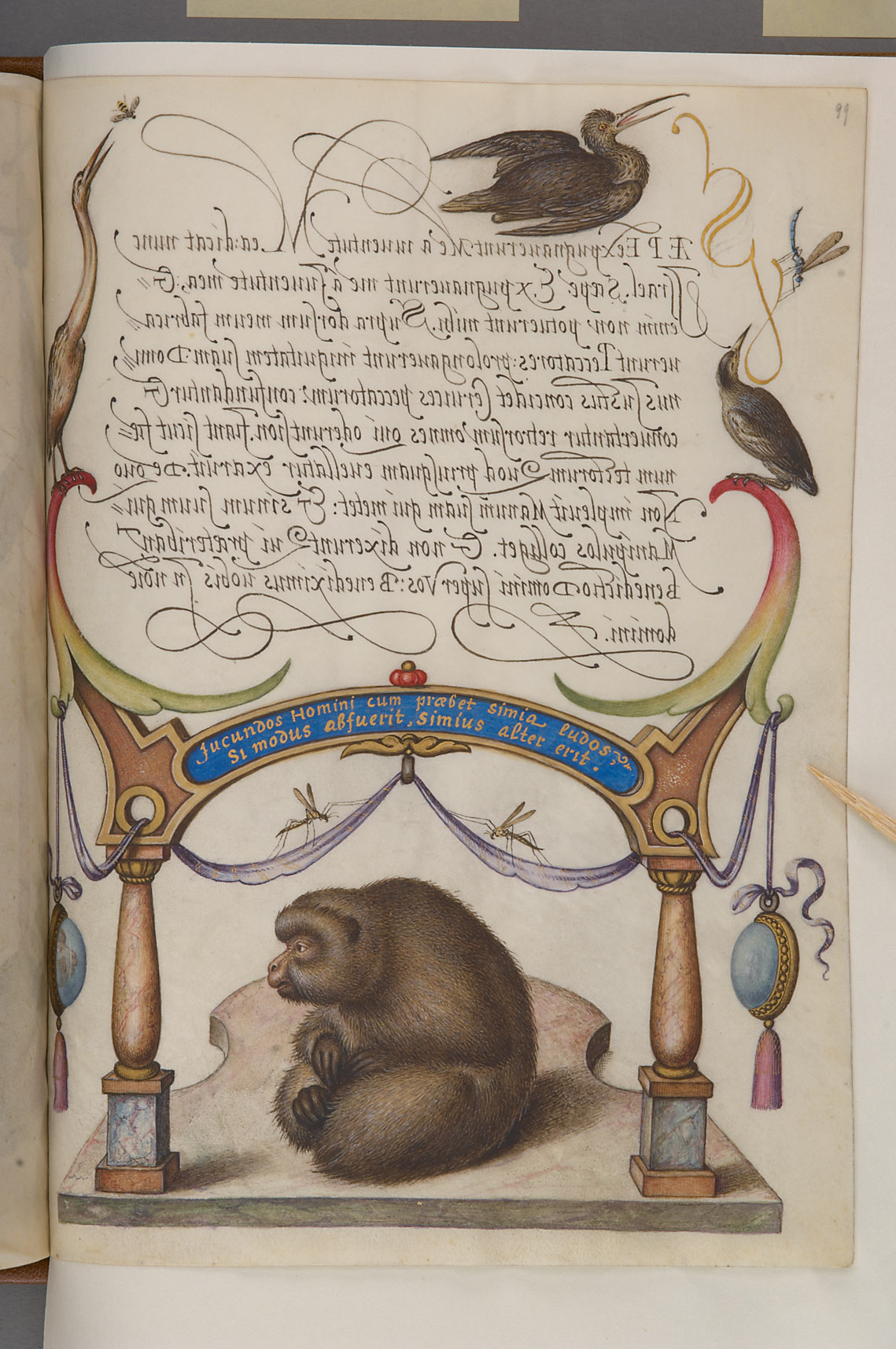 Schriftmusterbuch; 127 Blatt Pergament