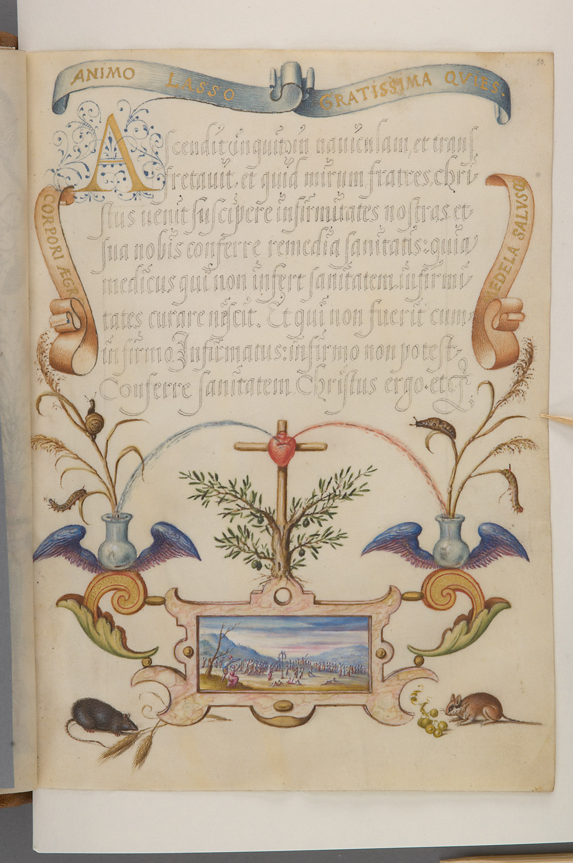 Schriftmusterbuch; 127 Blatt Pergament