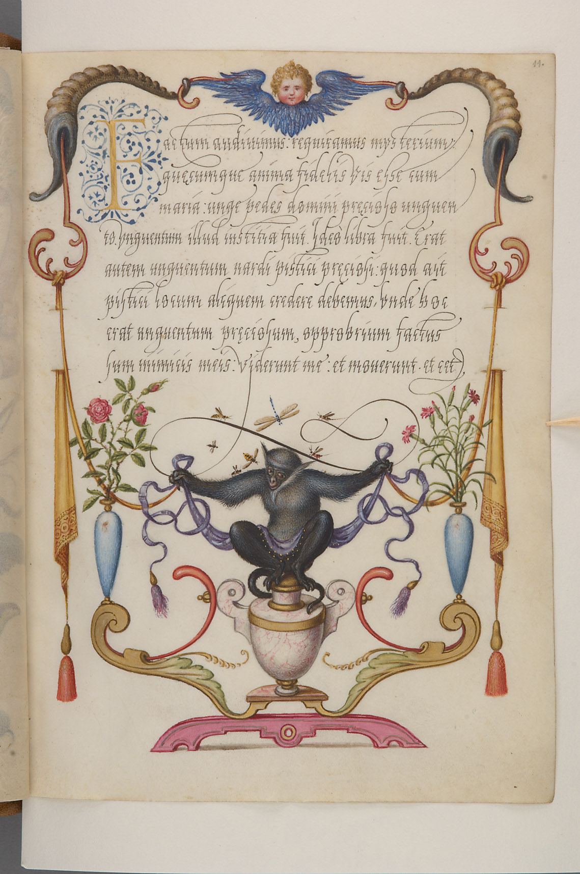 Schriftmusterbuch; 127 Blatt Pergament