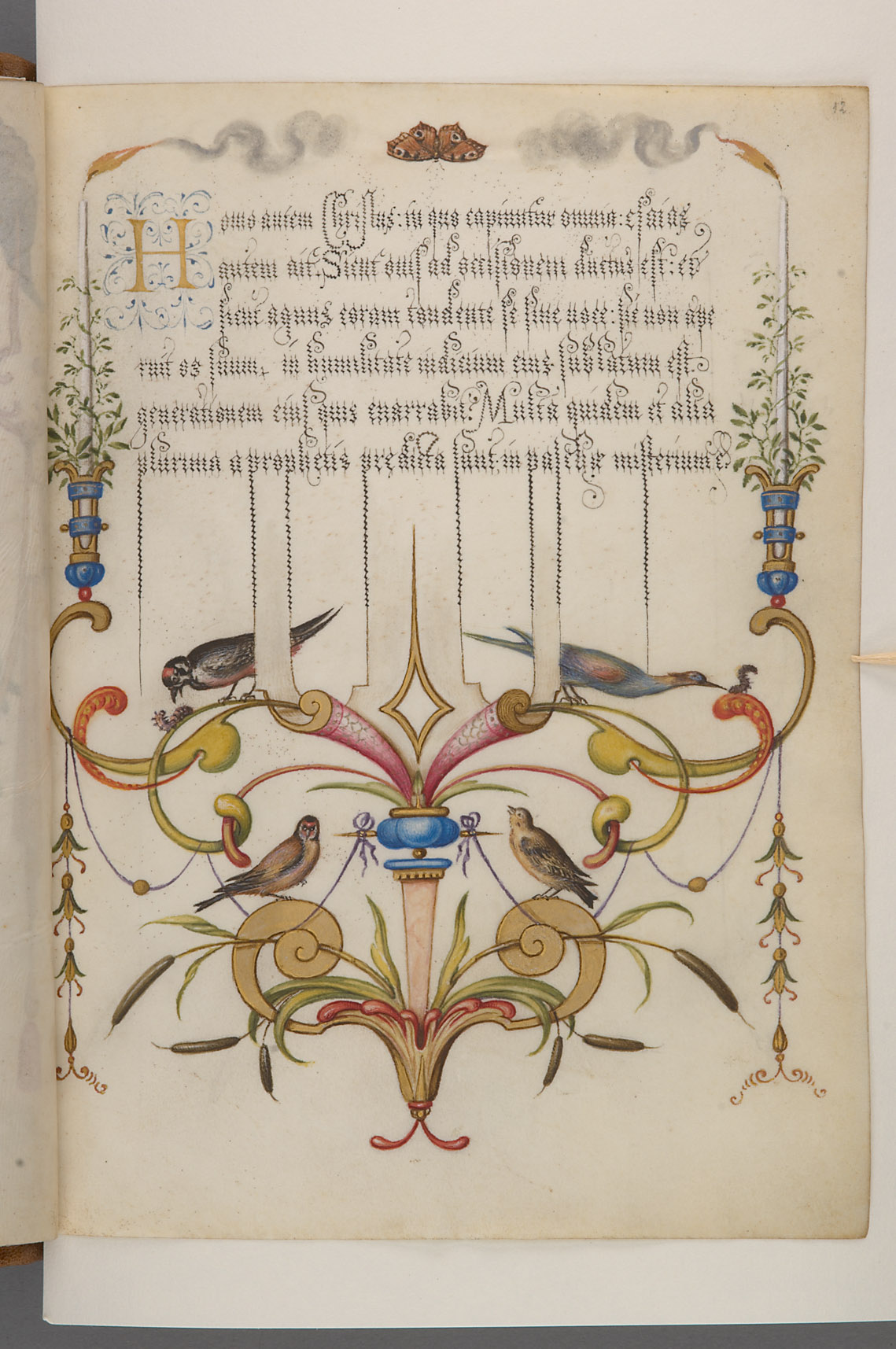 Schriftmusterbuch; 127 Blatt Pergament