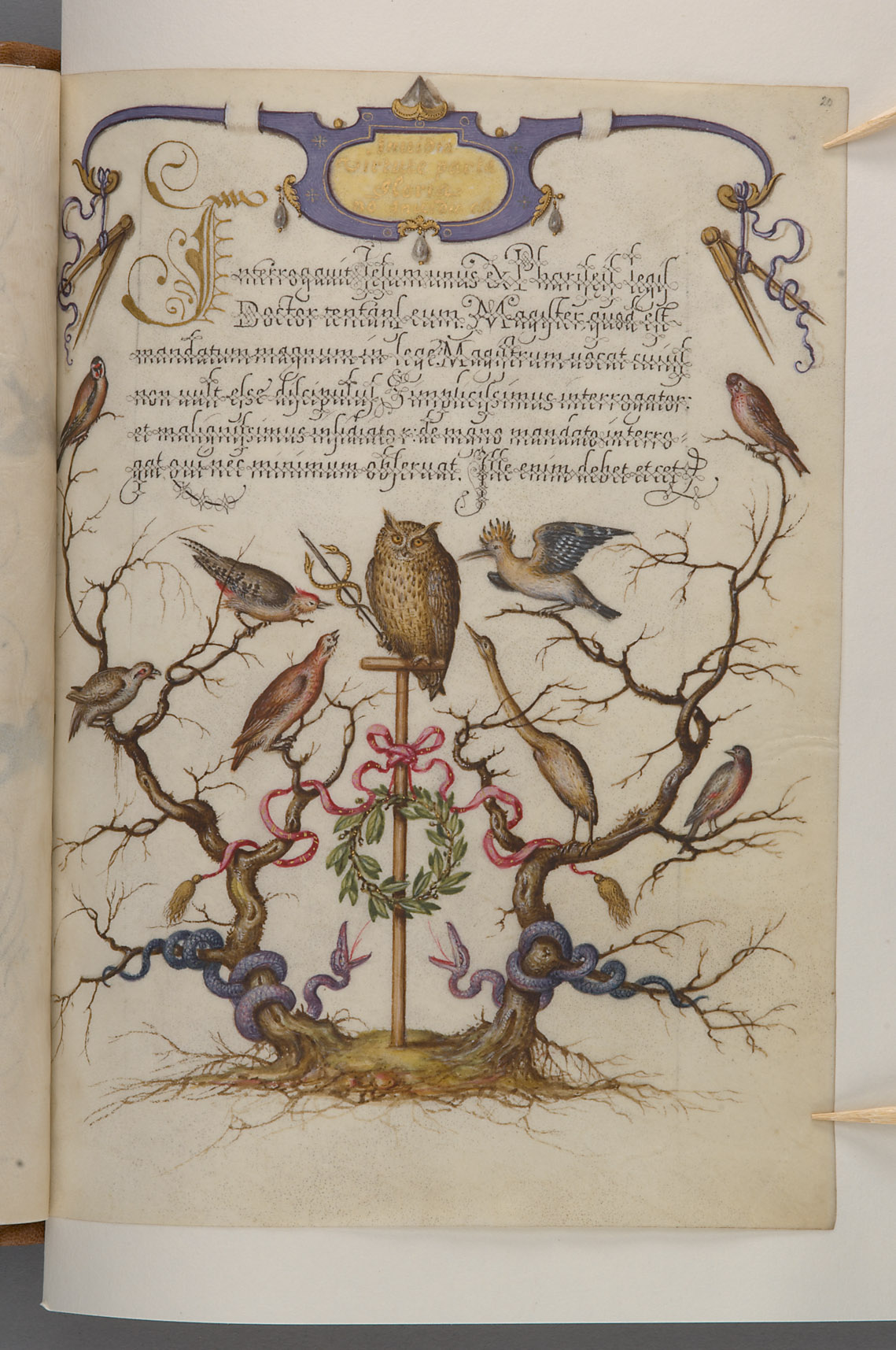 Schriftmusterbuch; 127 Blatt Pergament