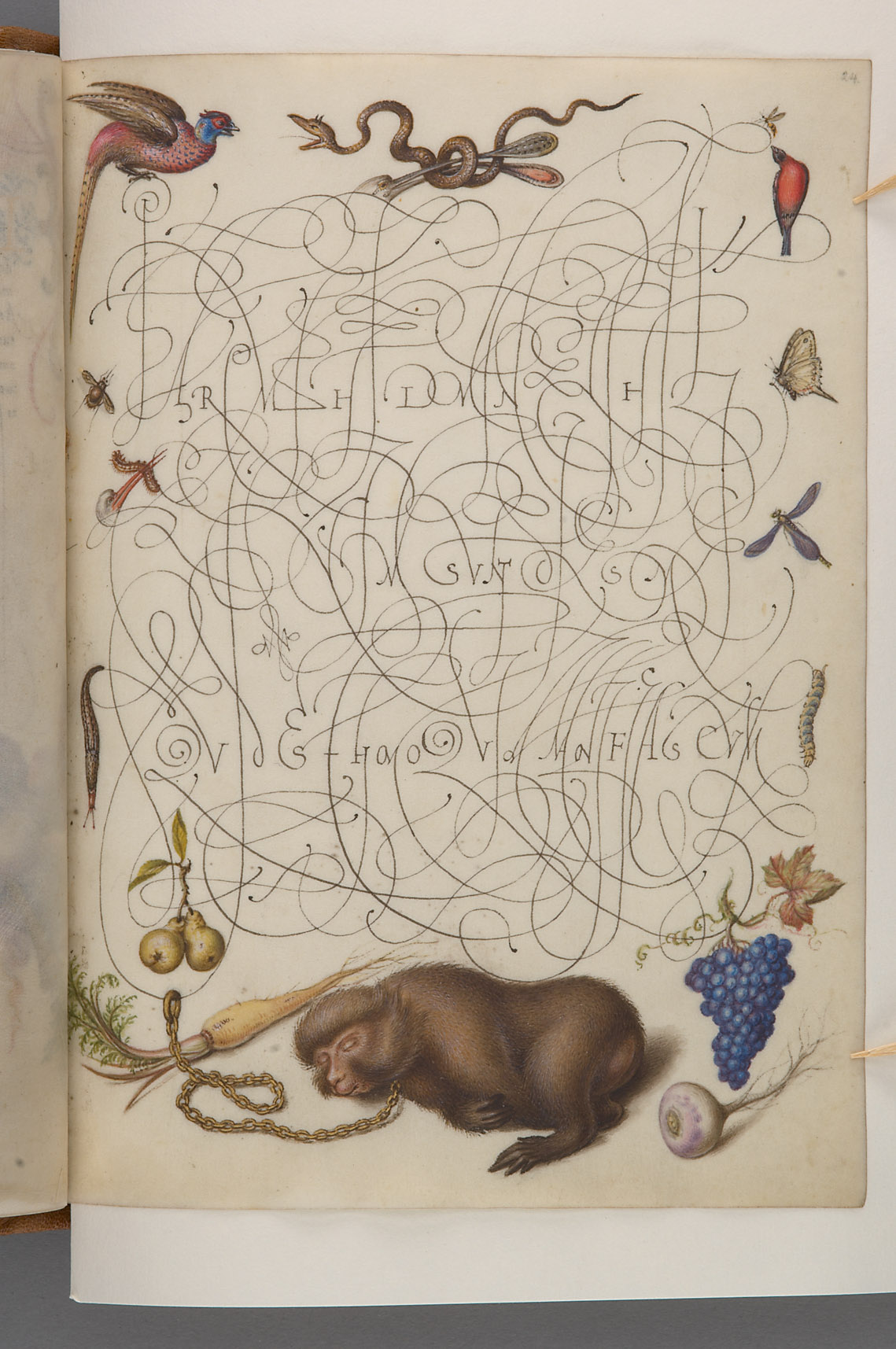 Schriftmusterbuch; 127 Blatt Pergament