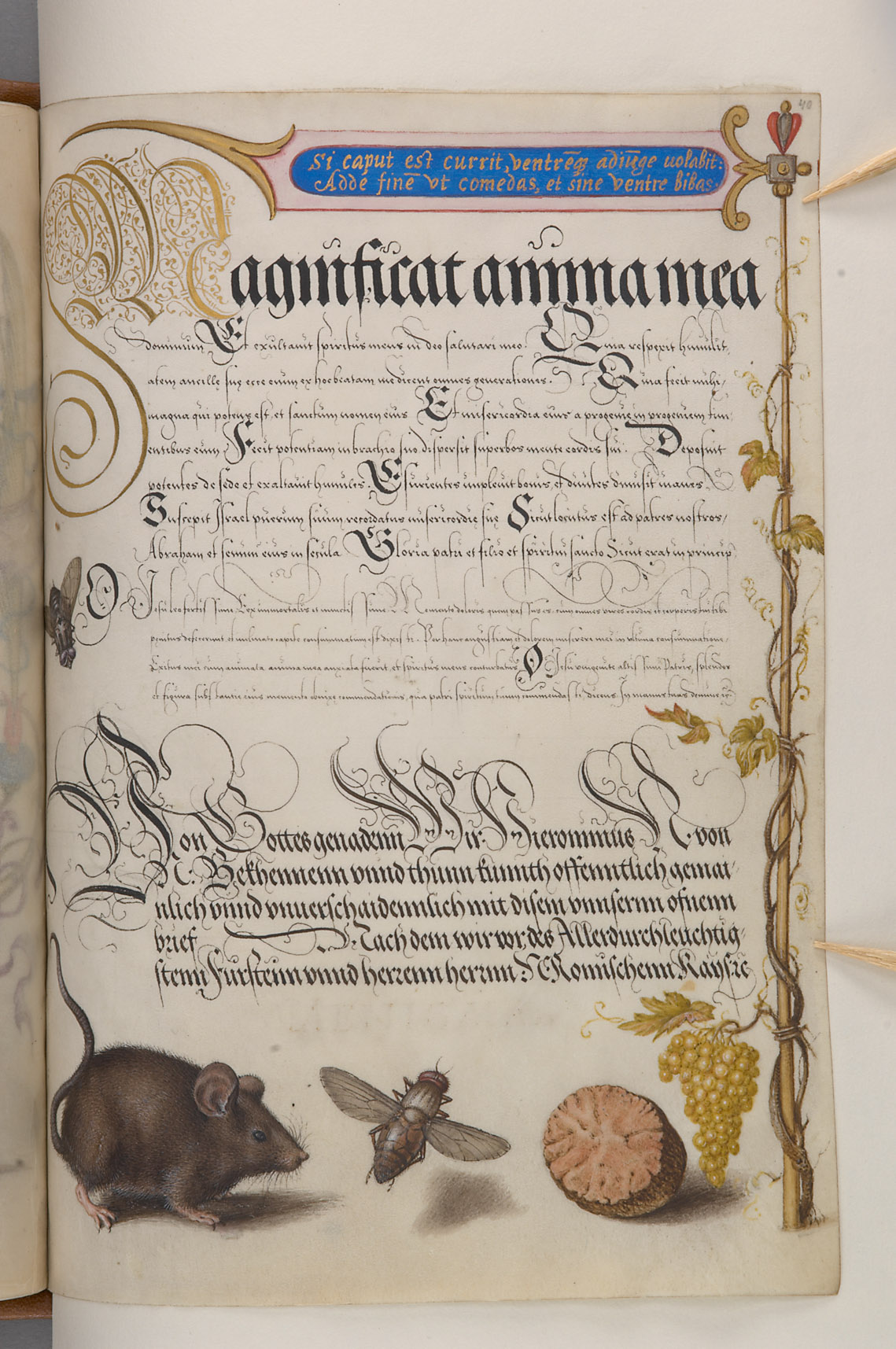 Schriftmusterbuch; 127 Blatt Pergament