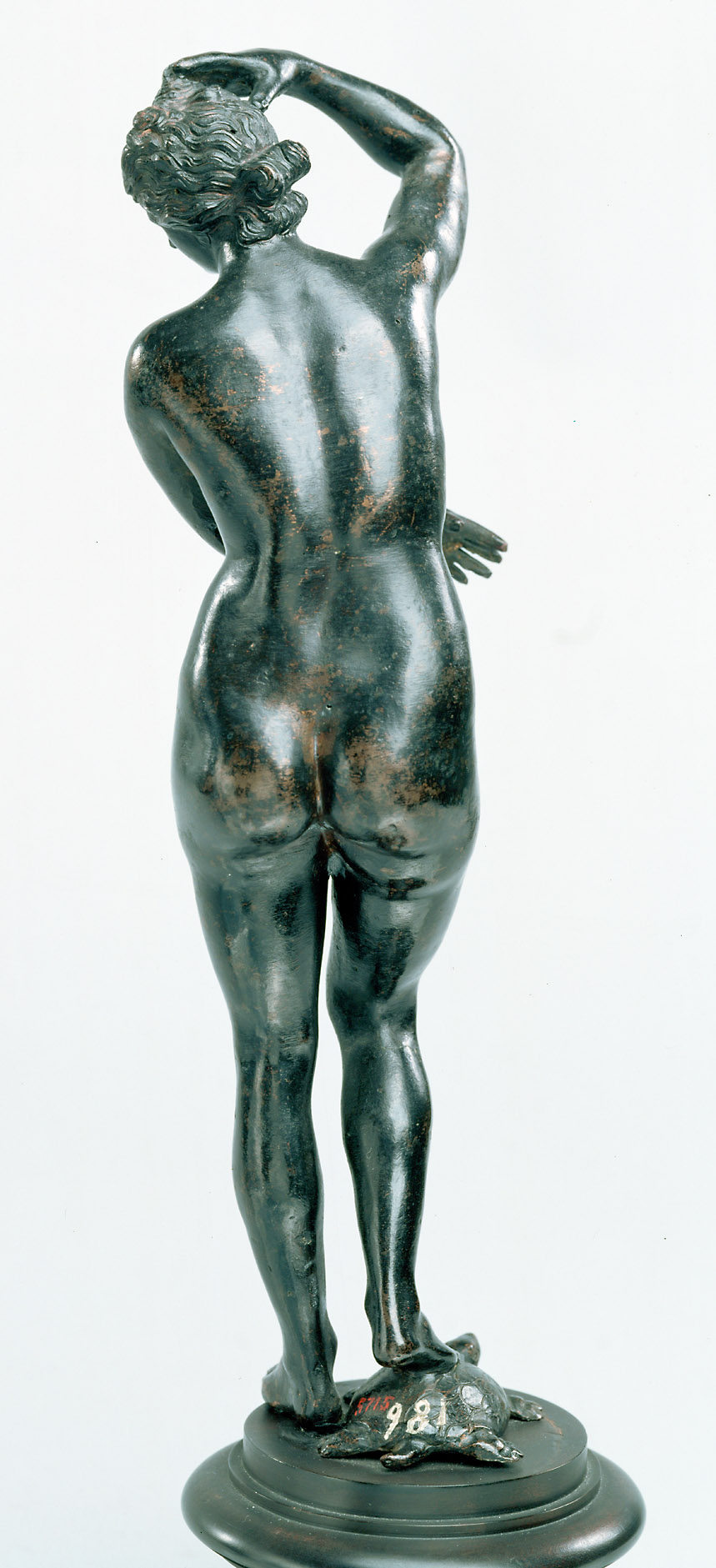 Venus
