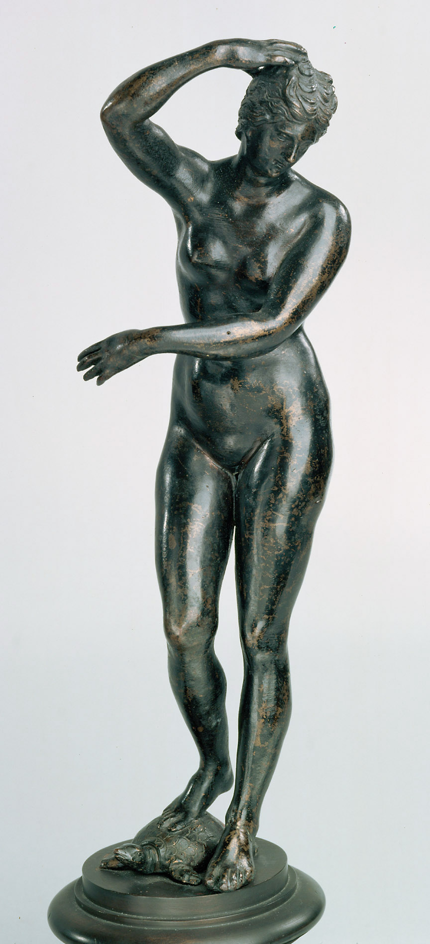 Venus