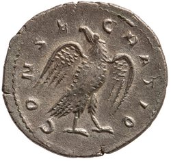 Divus Marcus Aurelius