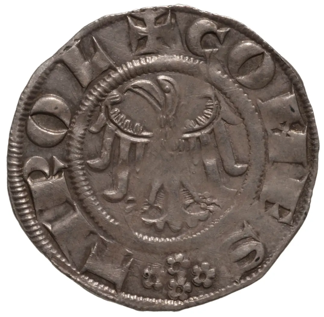 Grafen von Tirol: Meinhard II. (1258–1295)