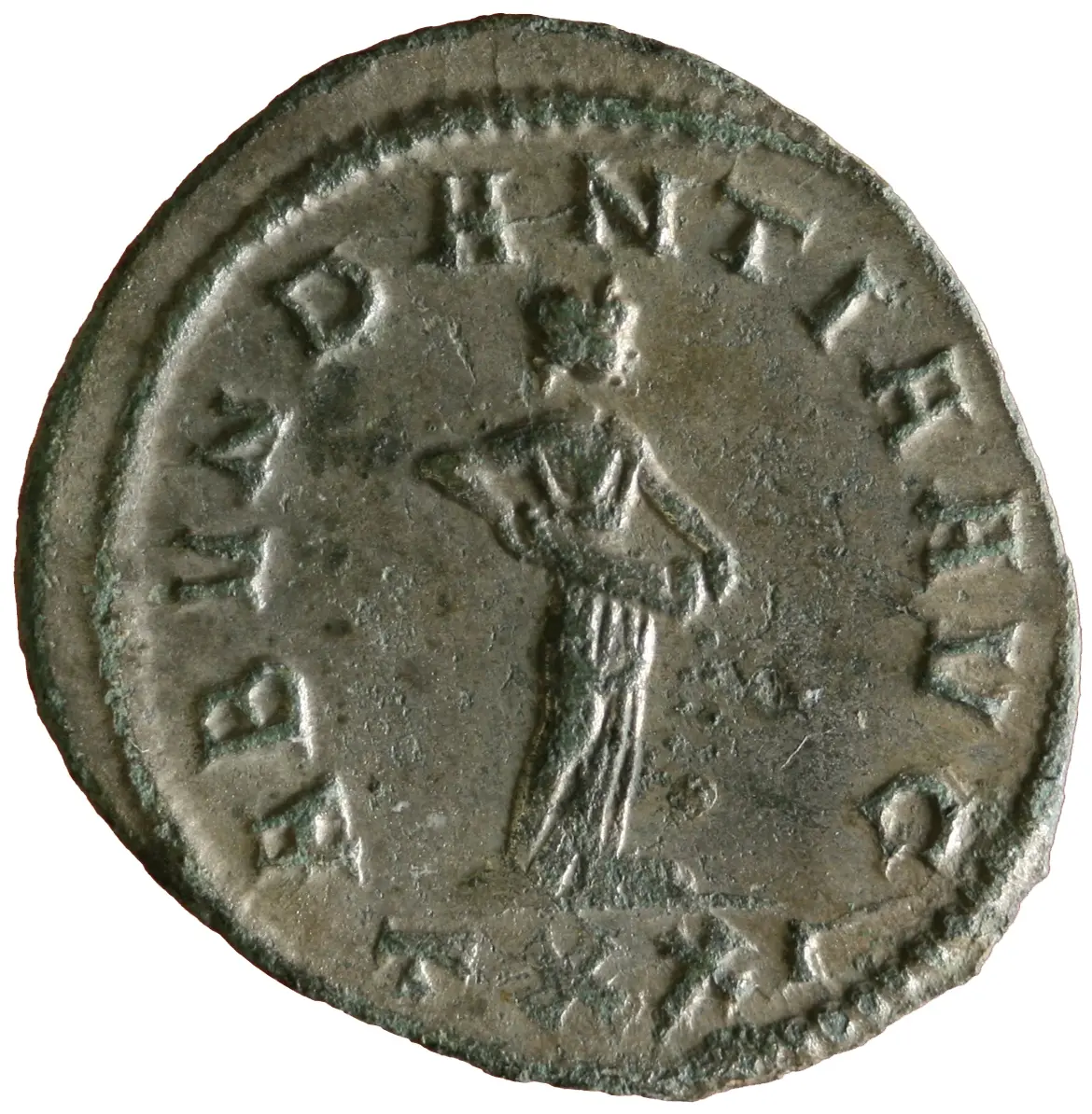Carus
