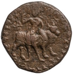 Kushan: Wima Kadphises
