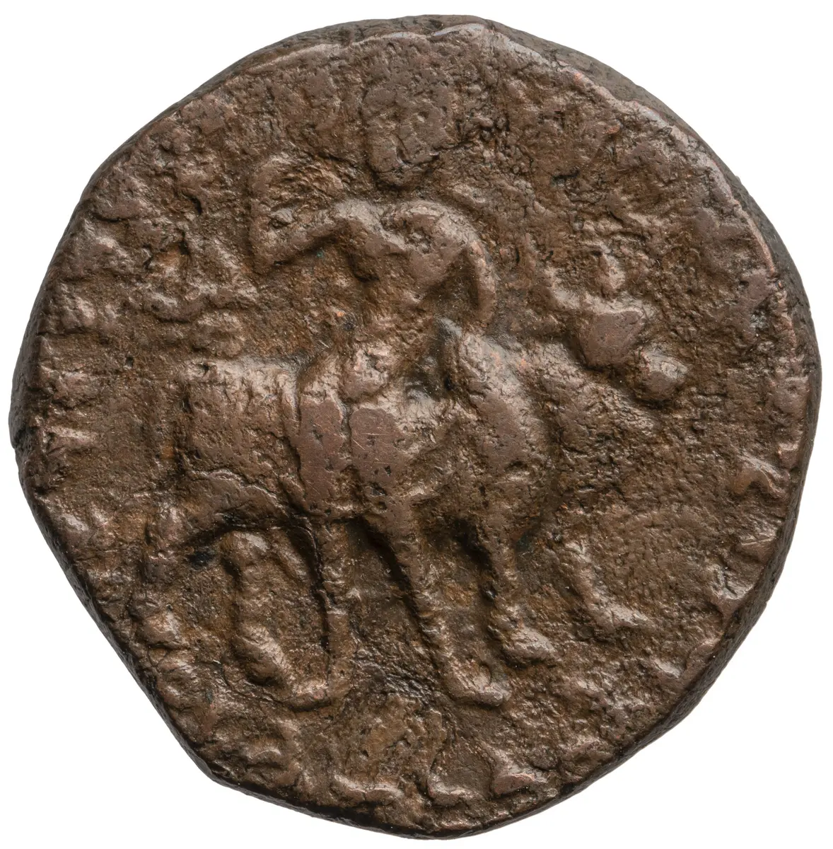 Kushan: Wima Kadphises