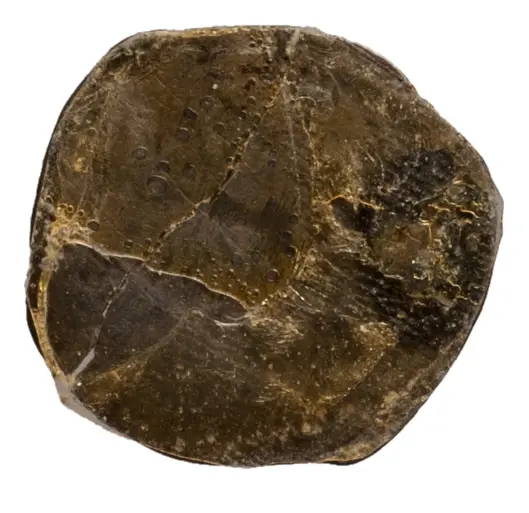 Herzöge von Österreich: Friedrich III., der Schöne (1306/1314–1330)