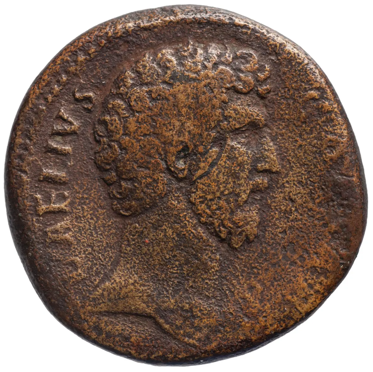 Lucius Aelius
