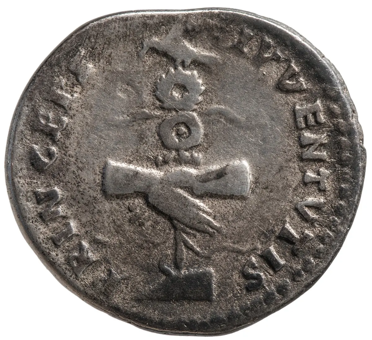 Titus für Domitianus