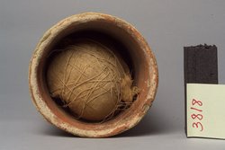 Ibismumie in kegelförmigem Tongefäß