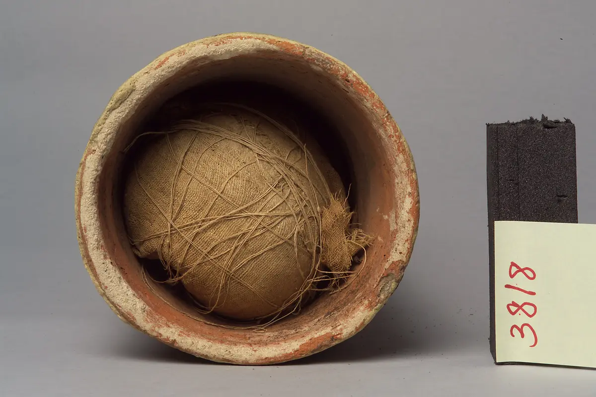 Ibismumie in kegelförmigem Tongefäß