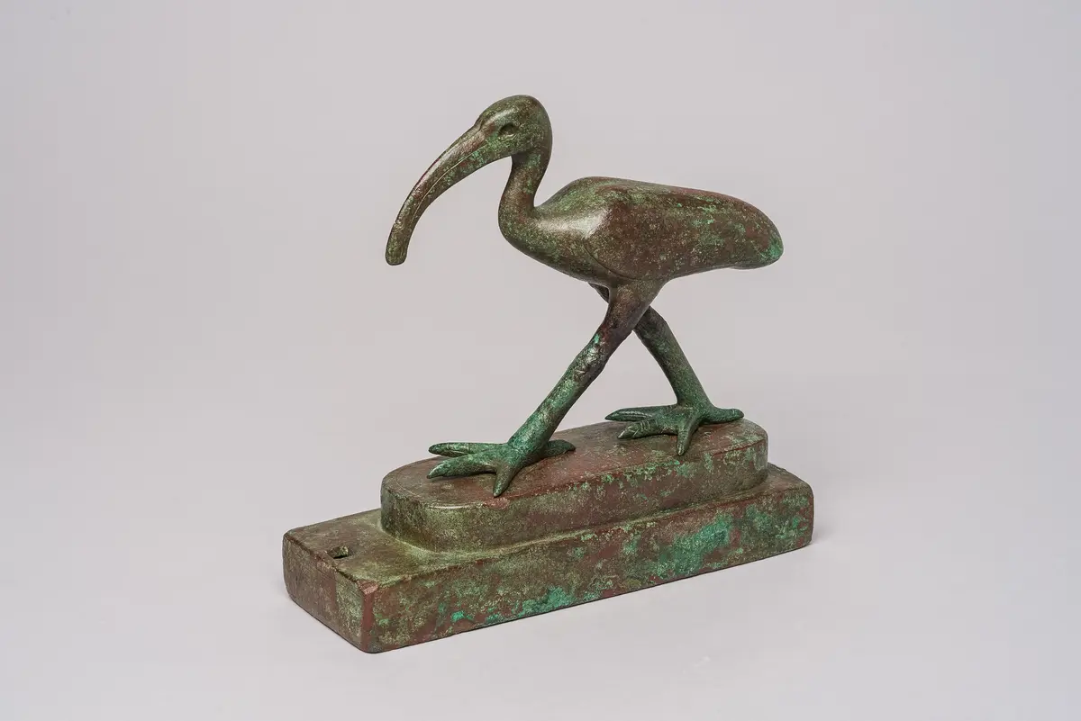 Schreitender Ibis