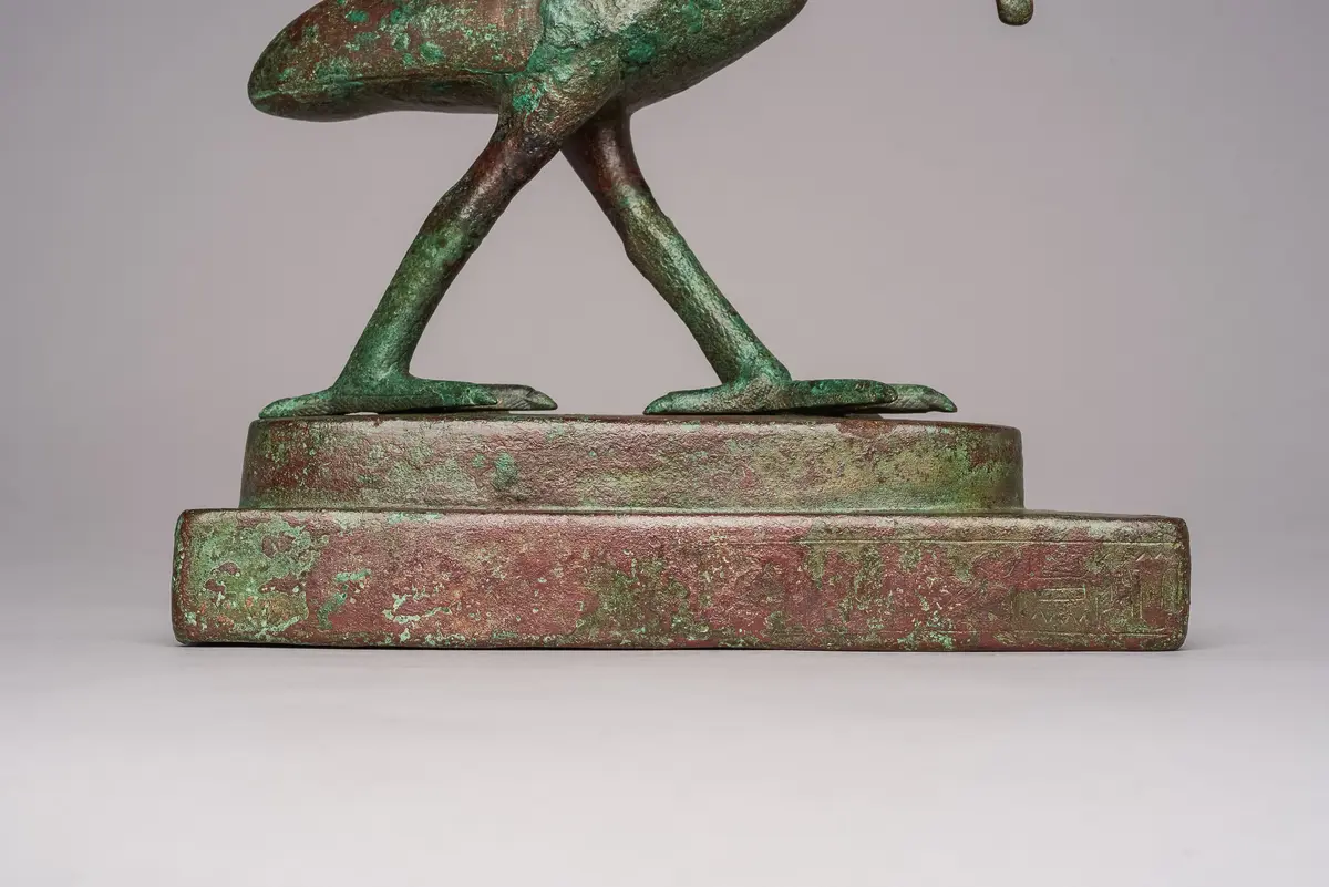 Schreitender Ibis