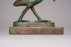 Schreitender Ibis