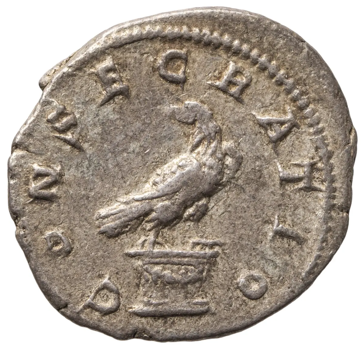 Divus Septimius Severus
